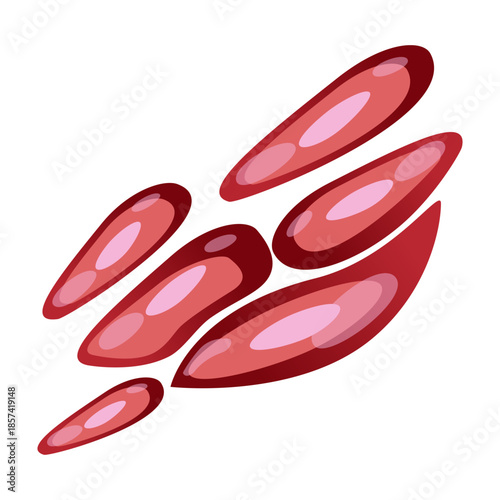 Muscle Cell Illustration