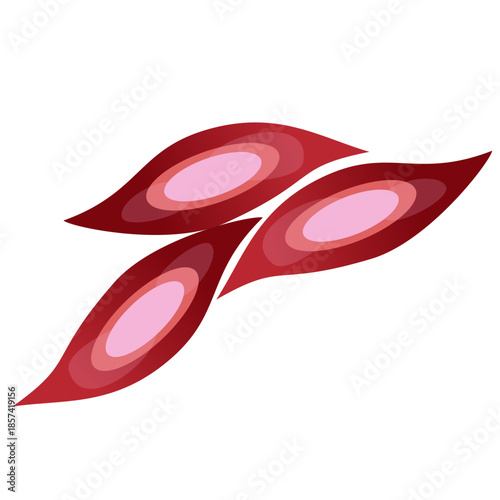 Muscle Cell Illustration