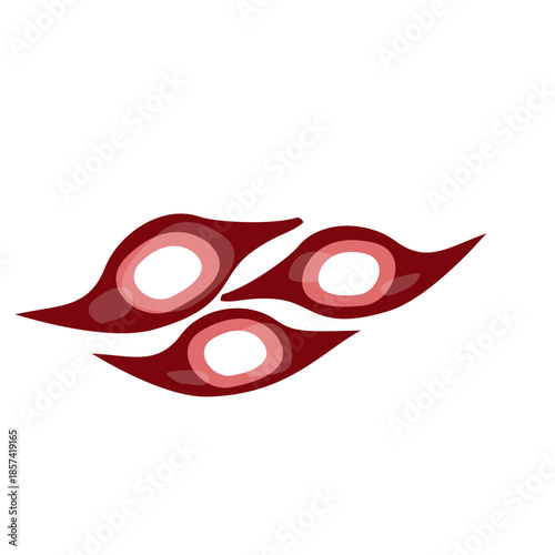 Muscle Cell Illustration