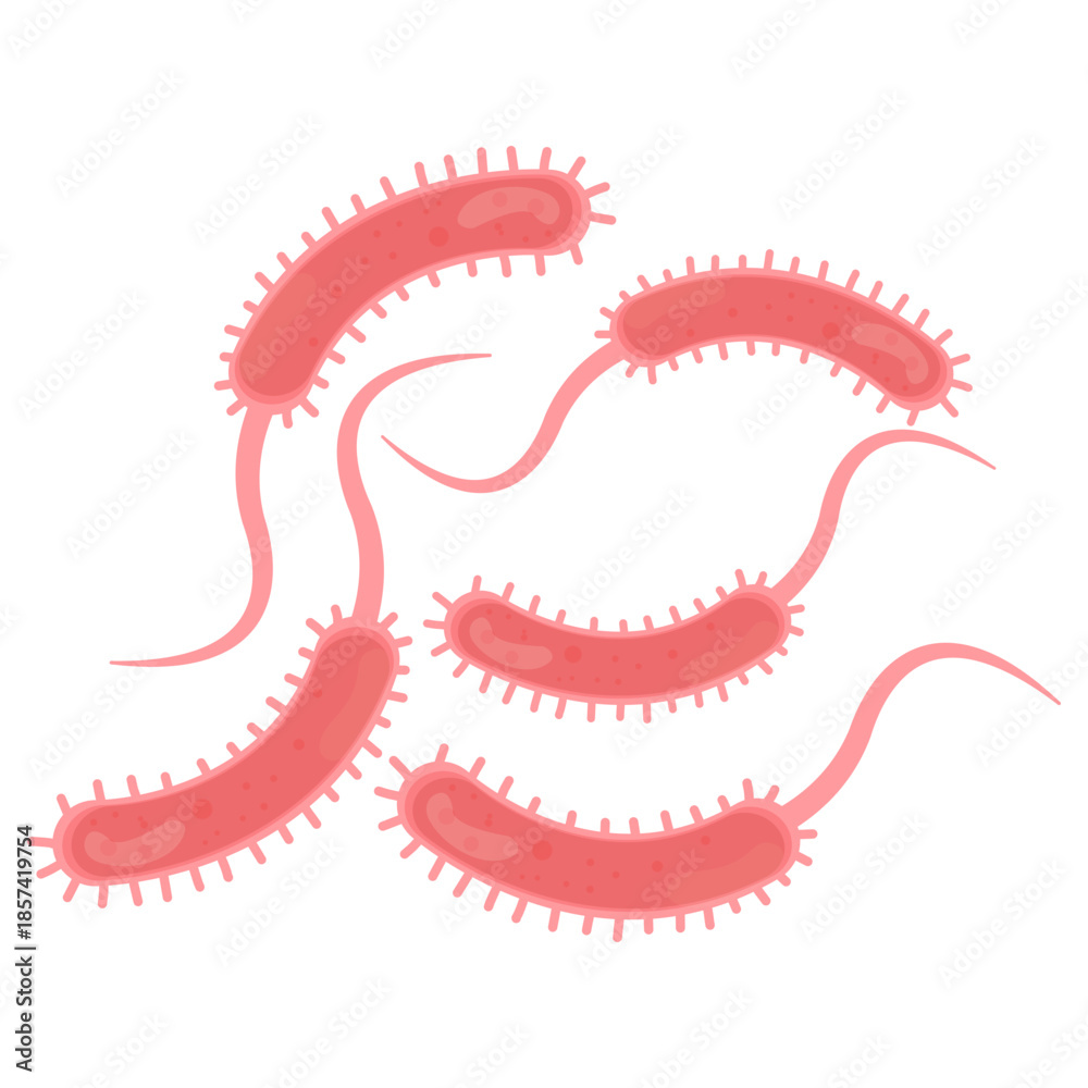 Obraz premium Vibrio Cholerae Illustration