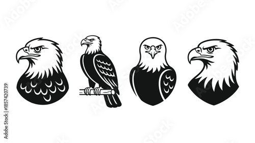A collection of stylized eagle illustrations in various poses for graphic design purposes