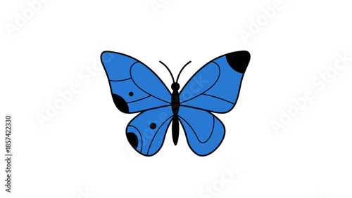Blue Butterfly with Black Tips Illustration.