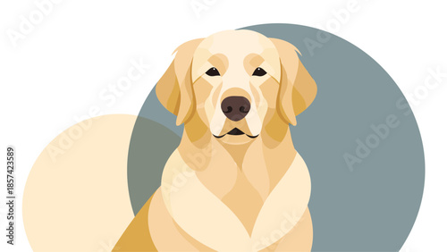 A dog is sitting in a lifestyle setting with a petcare theme illustrated in a modern vector art style