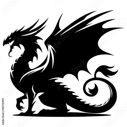black and white dragon vector  lion