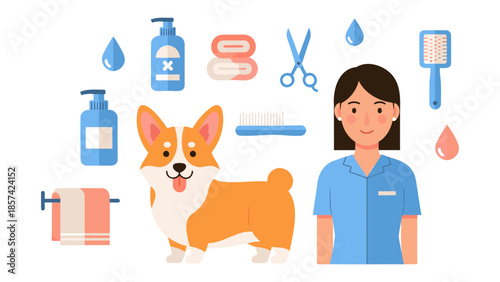 A woman grooming a corgi dog with various pet care tools surrounding them in a clean environment from a front viewpoint.