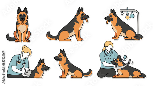 Veterinarian grooming and bathing a German Shepherd dog in a clinical environment from multiple viewpoints