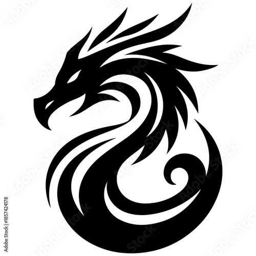 black dragon vector and white background 