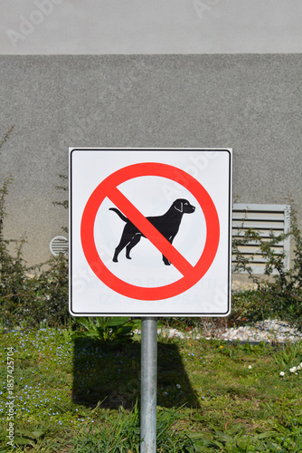 Φωτογραφία A square prohibition sign with a black dog silhouette behind a red strikeout cir