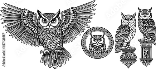Detailed vintage engraving style owl illustrations featuring a flying bird with open wings and nocturnal predators perched on classic architectural column pedestals.