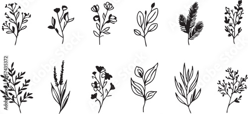 Floral vector pack: hand-drawn botanical illustrations for graphic design eps silhouette