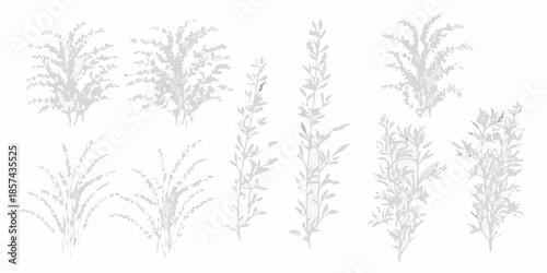 Delicate floral arrangements of various plant stems and leafy branches displayed