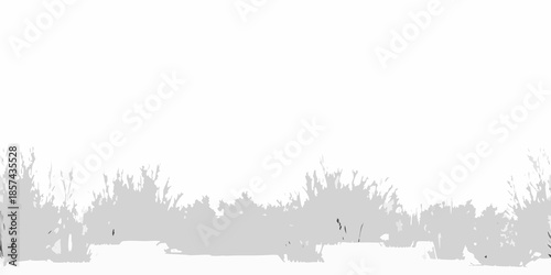 Silhouetted shrubs and foliage against a bright washed out background