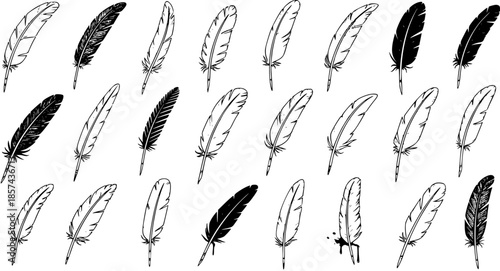 Black and White Line Art Feather Collection, Various Styles and Poses