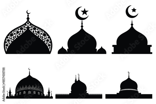 Black and white mosque domes and minarets Islamic architecture