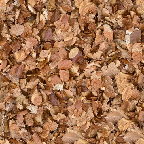 High-Resolution Seamless Autumn Leaves Background Texture