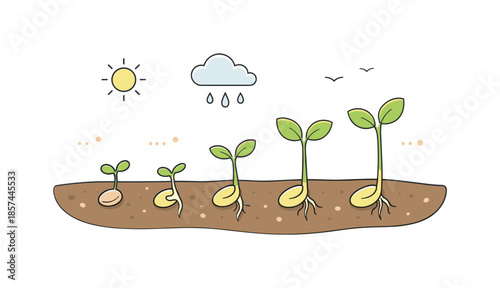 Seed Sprouting Illustration. Seeds sprouting concept illustration. A cross-section view of soil showing seeds underground and young plants emerging above. The