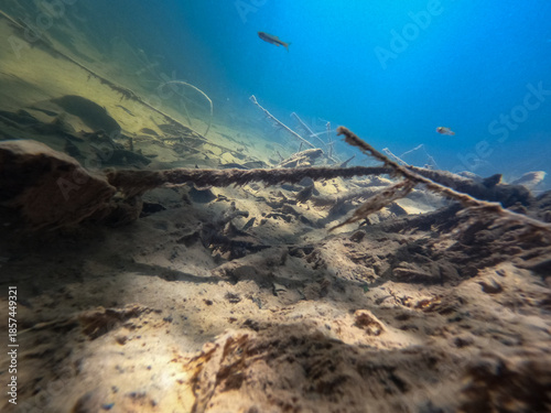 Fotografie Wide Angle Underwater Perspective of Tropical Riverbed and Aquatic Life
