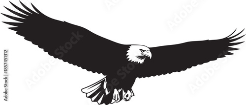 Bald eagle in flight