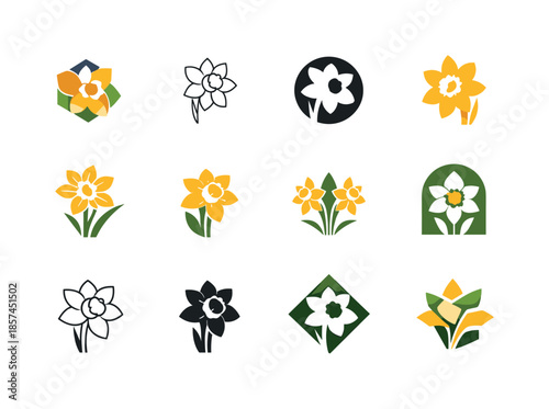 Daffodil Logo Variations. birth flowers. Icon set. Set Logo of birth flowers: daffodil (March). harmonious logo variations of the same emblematic concept, each