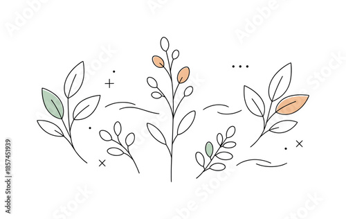 Botanical Line Art. Botanical Line Art Illustration. A delicate composition of leaves and stems drawn with thin continuous lines, gently spaced on a clean