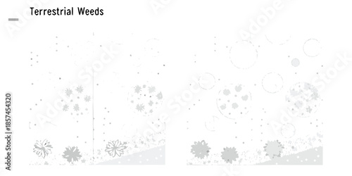 Abstract representation of terrestrial weeds and their spatial distribution in a field