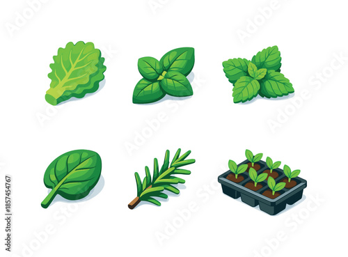 Garden Leaves Icons. Garden leaves. Isometric flat vector icons set of garden leaves: lettuce leaf, basil leaf, mint leaf, spinach leaf, rosemary sprig, leafy