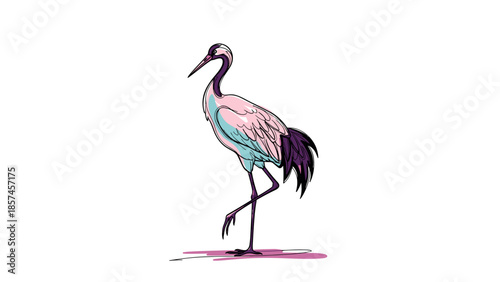 Colorful Crane Bird Standing on One Leg.