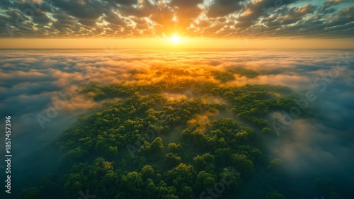 Serene Landscape Nature Arial View Forest Sunset