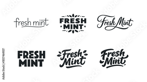 Diverse Lettering Styles. Fresh Mint Mood. Set lettering. harmonious lettering variations of the same emblematic concept, each with different