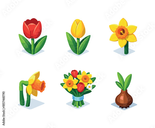 Spring Flower Icons. Tulips and Daffodils. Isometric flat vector icons set of Tulips and Daffodils: red tulip bloom, yellow tulip bud, daffodil trumpet flower,