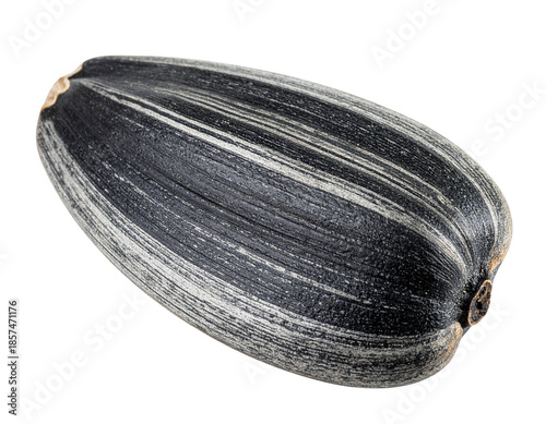 Wallpaper Mural Single Sunflower Seed Isolated on White Background Macro Shot. Torontodigital.ca