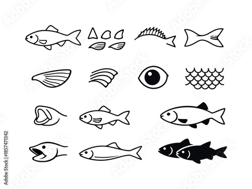 Fish Anatomy Icons. Fish Anatomy Essentials. Line icon set of Fish Anatomy Essentials: fish outline, fin shape, dorsal fin, tail fin, pectoral fin, gill line,