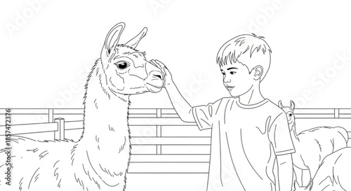 Boy petting llama at petting zoo in outlined drawing style  