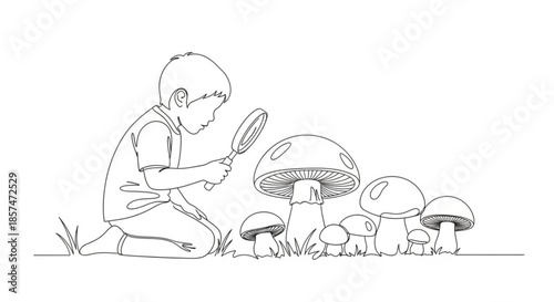 Young child examining mushrooms with magnifying glass in garden  