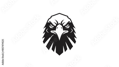 Eagle Head Logo Illustration Design.