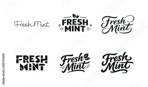 Diverse Lettering Styles. Fresh Mint Mood. Set lettering. harmonious lettering variations of the same emblematic concept, each with different