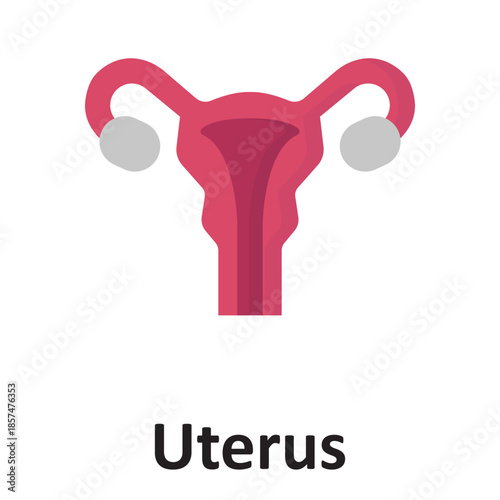 Uterus  Vector Icon which can easily modify or edit