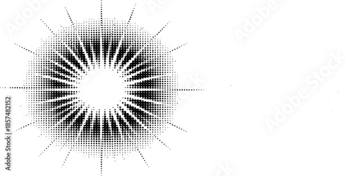 Black and white radial pixel art design