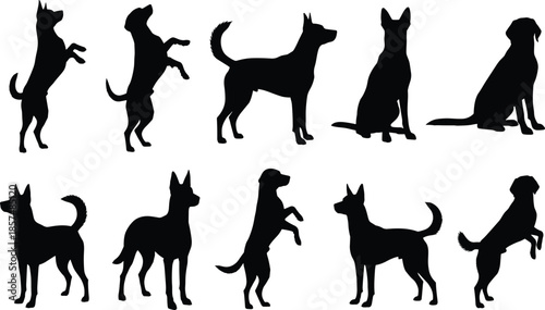 Dog silhouettes in various poses, black canine shapes, pet posture collection, animal behavior icons, breed identification, graphic design elements