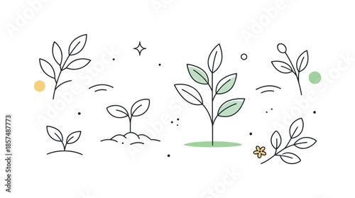 Minimalist Botanical Harmony. Botanical growth lines. Minimal line-drawn leaves and sprouts arranged in a calm, balanced composition. The scene communicates