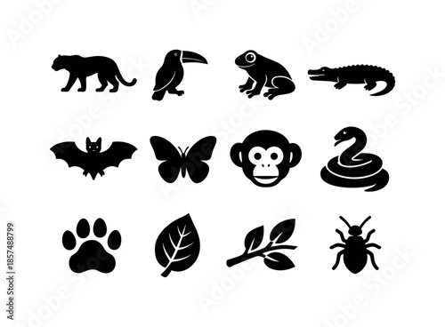 Jungle Wildlife Icons. Jungle wildlife. Solid icon set of jungle wildlife: jaguar silhouette, toucan silhouette, tree frog, crocodile silhouette, bat