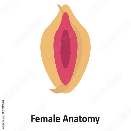 Female Anatomy Vector Icon which can easily modify or edit