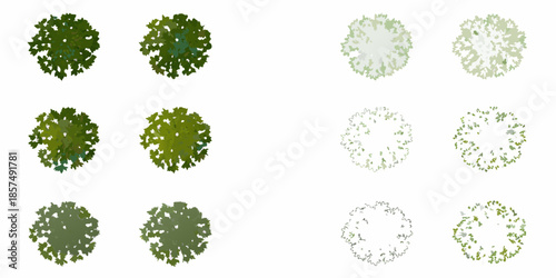 Aerial view of various green and pale treetops arranged in a grid