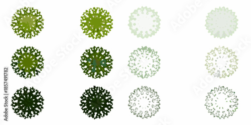 A collection of circular tree canopies in varying shades of green