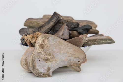 Prehistoric doggerland dutch fossils of teeth and bones of megafauna