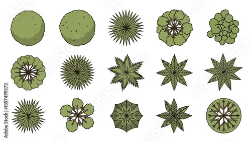 A collection of diverse stylized tree top view illustrations, showcasing various shapes and foliage patterns.