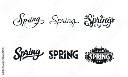 Spring Typography Variations. Printable Spring Typography. Set lettering. harmonious lettering variations of the same emblematic concept, each with different