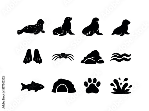 Seal and Sea Lion Icons. Seals and sea lions. Solid icon set of seals and sea lions: harbor seal, sea lion, fur seal, pup silhouette, flipper icon, whisker