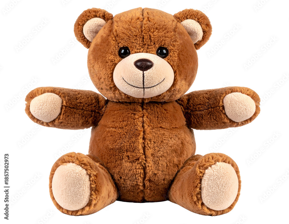 Obraz premium Adorable brown teddy bear with sewn accents that is isolated, cut out