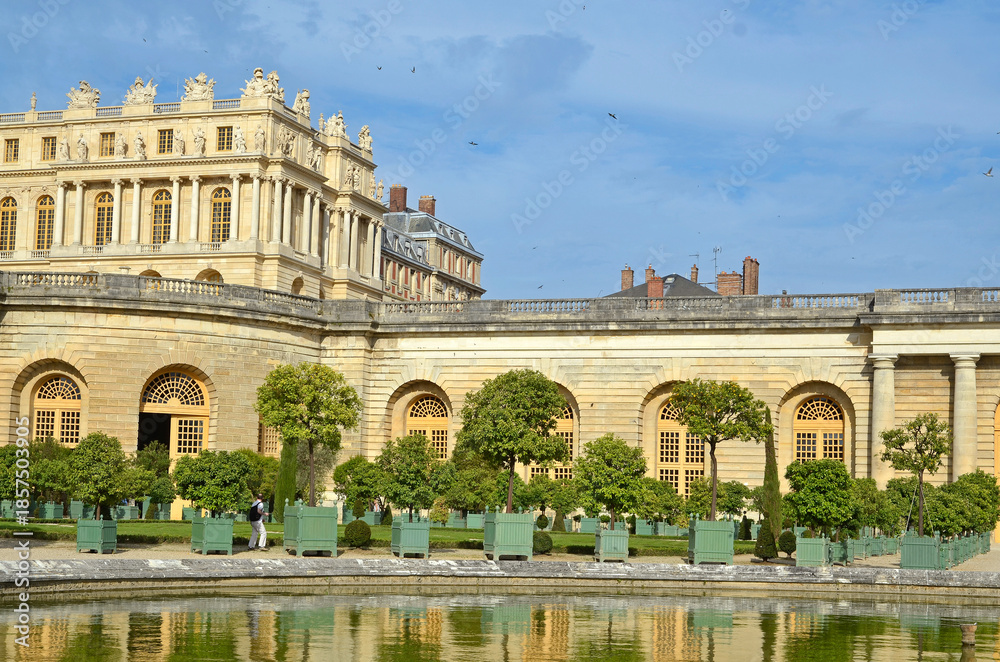 Fototapeta premium jardin de l'orangerie, chateau de Versailles, region Ile de France, 78, Yvelines, France